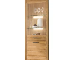 Vitrine I WZ-0169